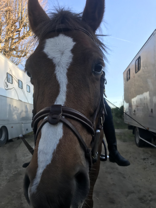 Photo de profil de emiedelys