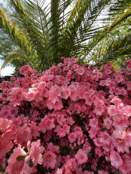 Photo de profil de emilie021