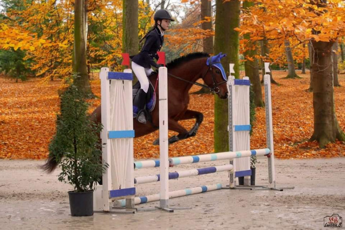 Photo de profil de emiliepony64