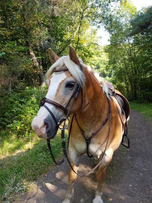 Photo de profil de emilieroy