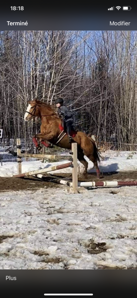 Photo de profil de emily123455