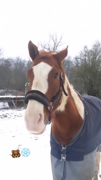 Photo de profil de emmadcr