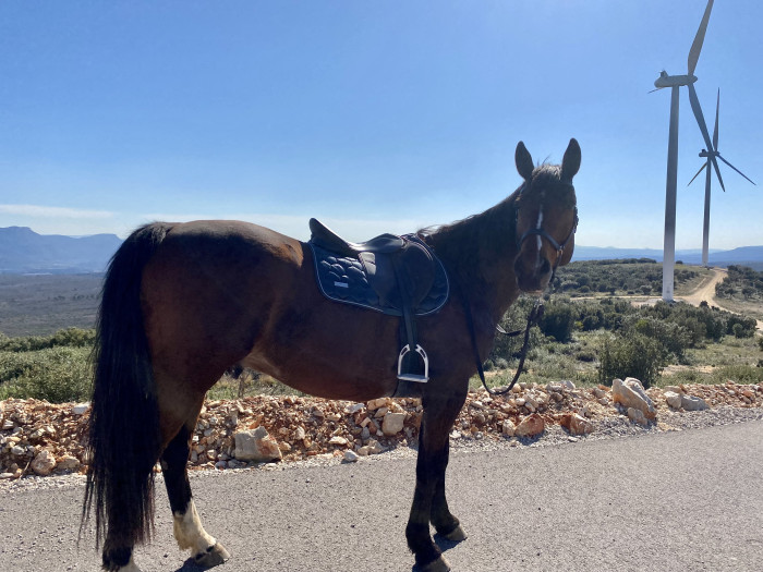 Photo de profil de emmaexca