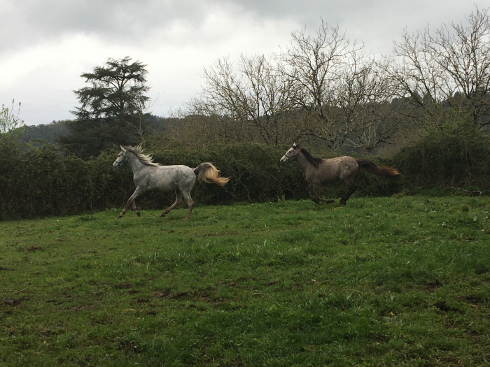 Photo de profil de emmalas