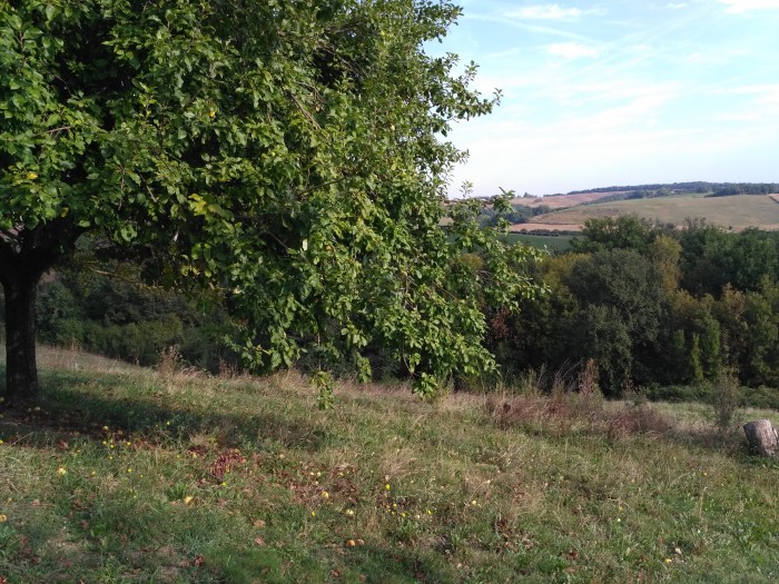 Photo de profil de emmanuelle31