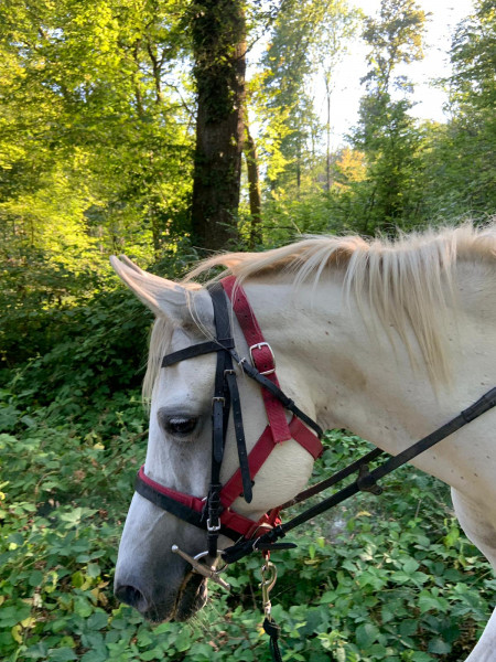 Photo de profil de emmaqueen2004