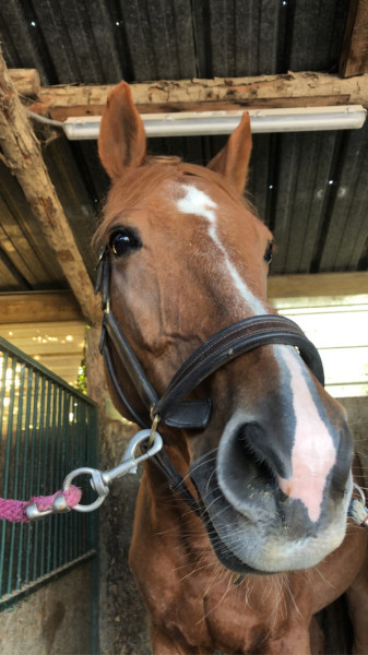 Photo de profil de emmaspagno