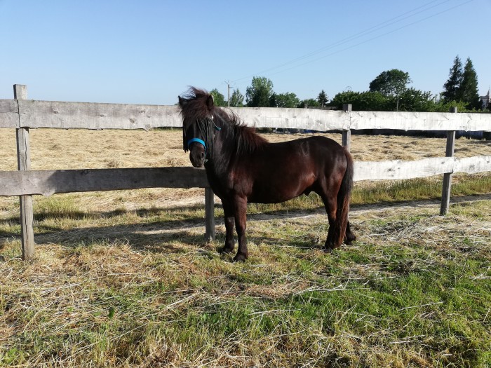 Photo de profil de emmha