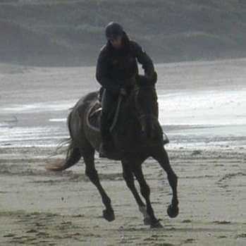 Photo de profil de enji