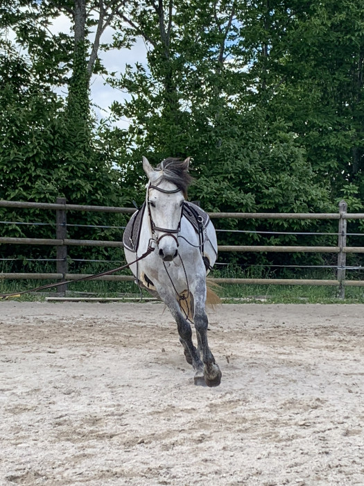 Photo de profil de ennaej