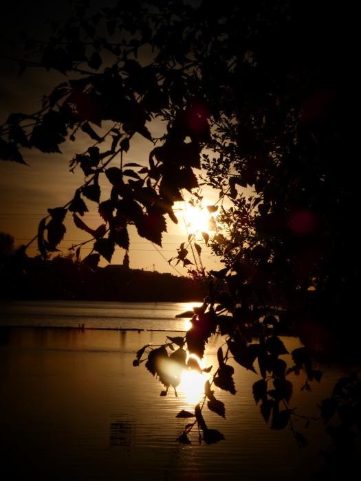 Photo de profil de enorasim