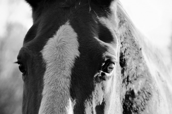 Photo de profil de enzael