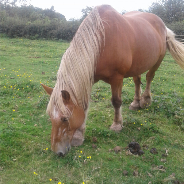 Photo de profil de enzo2