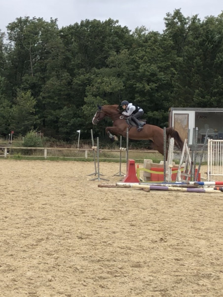 Photo de profil de enzo31470