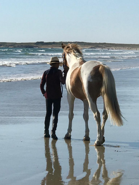 Photo de profil de enzoequitation