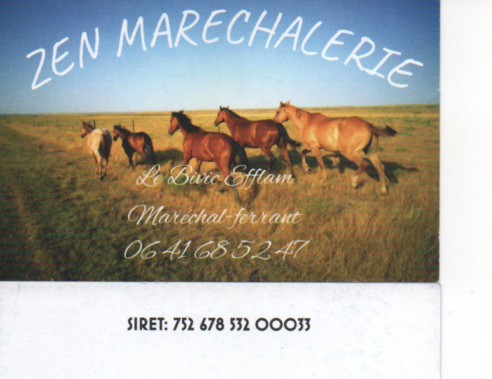 Photo de profil de eostig