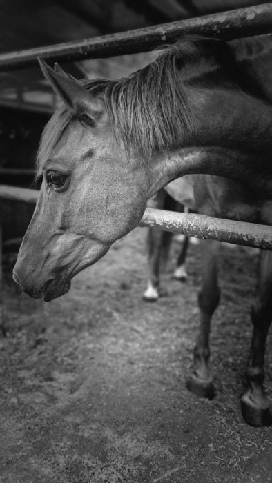 Photo de profil de eponalove