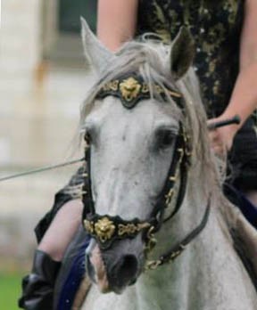 Photo de profil de epoquia