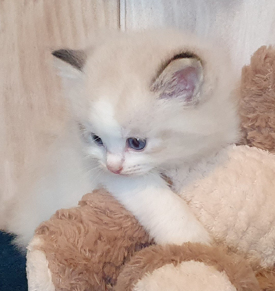Photo de profil de eprin1230