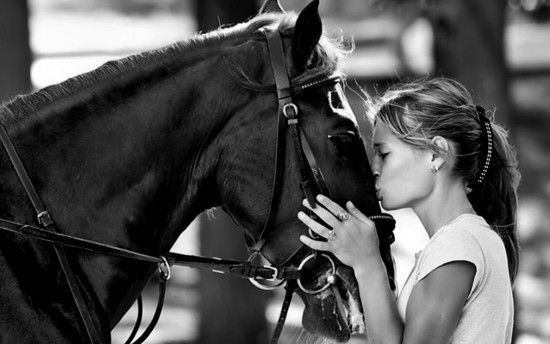 Photo de profil de equestrial