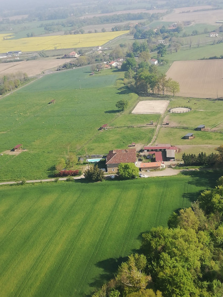 Photo de profil de equibett