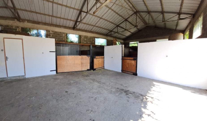 Photo de profil de equicoqaque