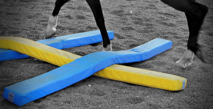 Photo de profil de equi_del