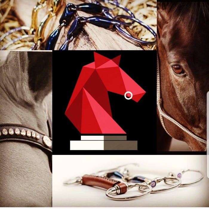 Photo de profil de equifit