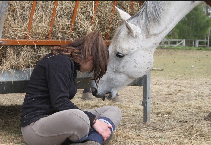 Photo de profil de equimaa