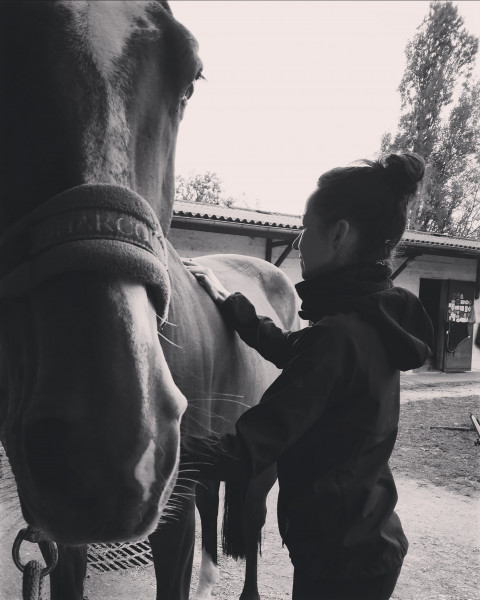 Photo de profil de equimasso