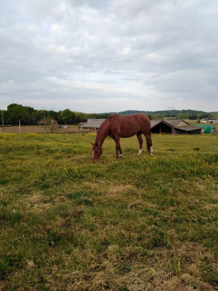 Photo de profil de equimoi