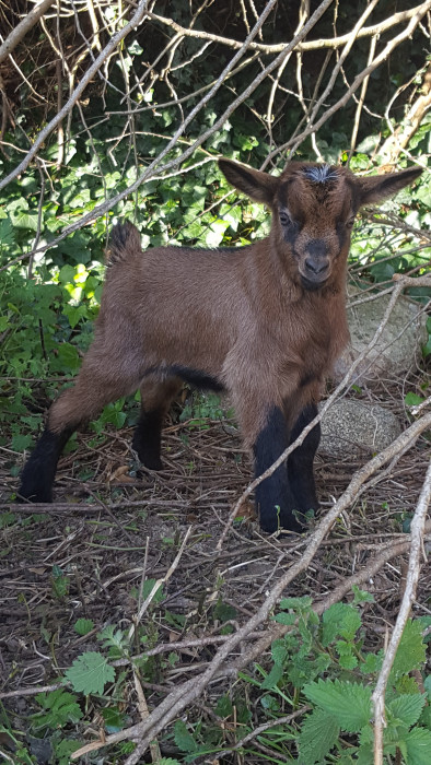 Photo de profil de equin35