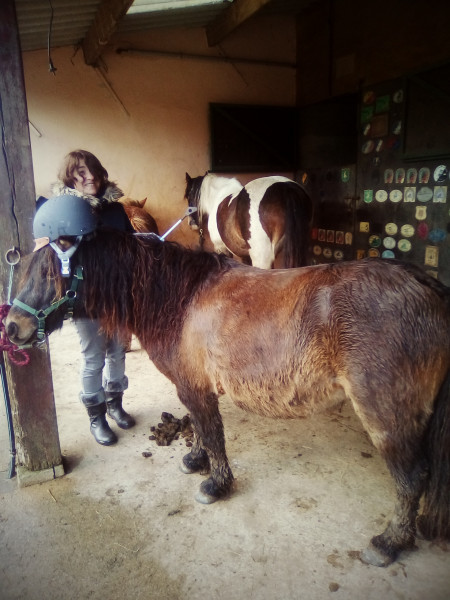 Photo de profil de equi_passions