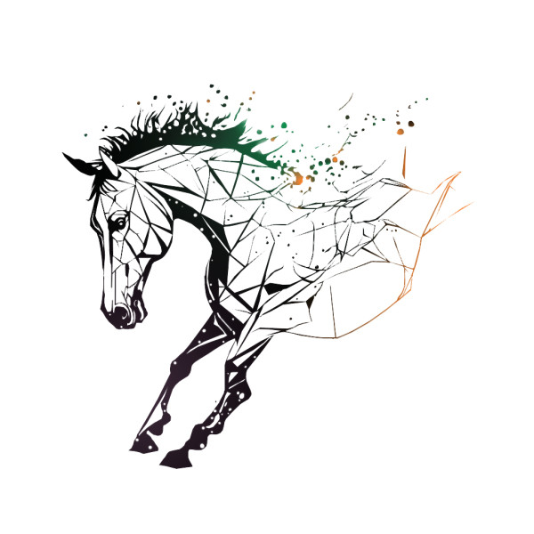 Photo de profil de equi_reseau