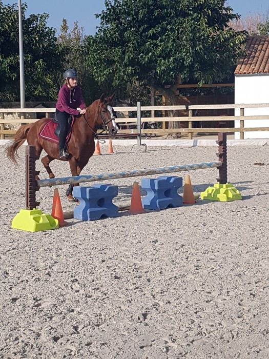 Photo de profil de equitlorses