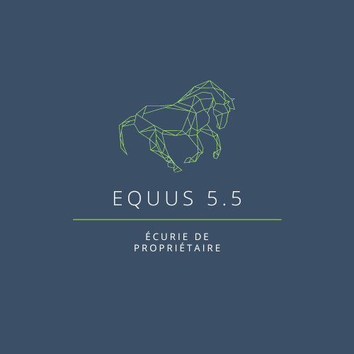 Photo de profil de equus5.5