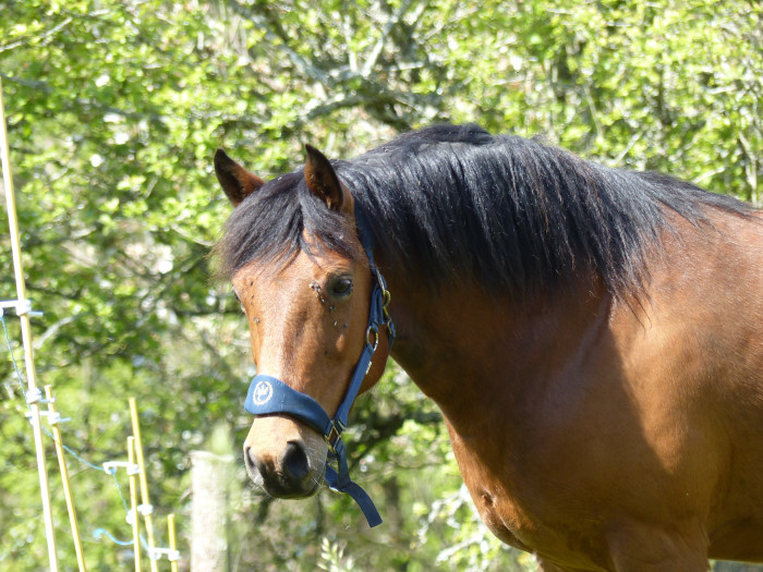 Photo de profil de equysteb22