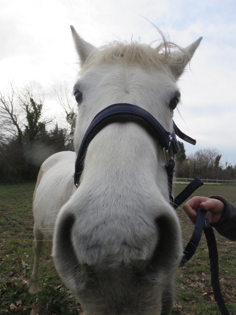 Photo de profil de erin.b