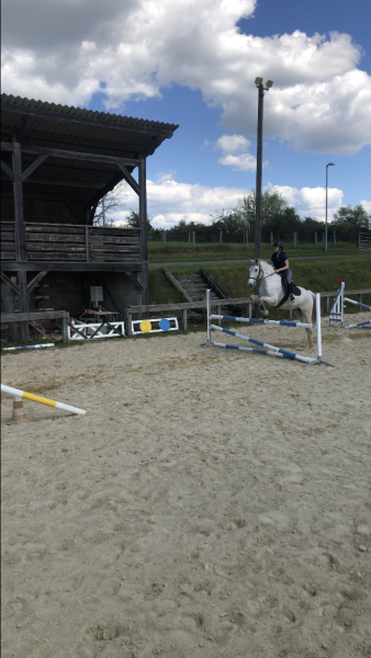 Photo de profil de eslie_vinade