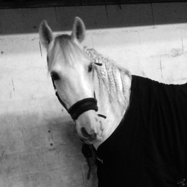 Photo de profil de esperado