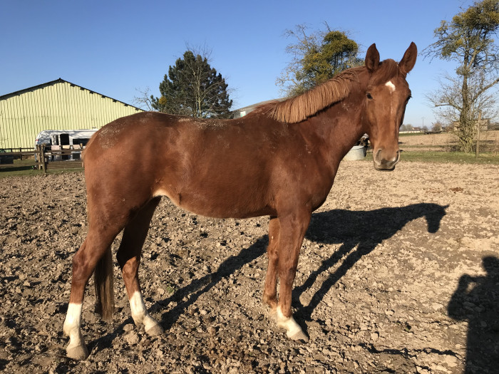 Photo de profil de essara