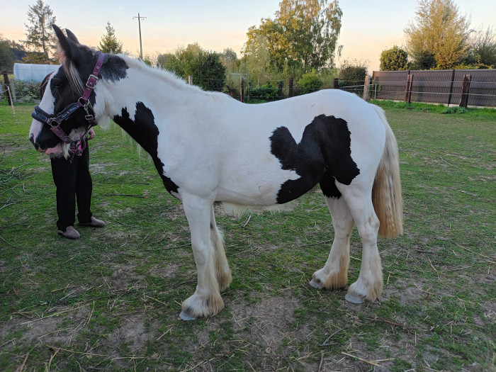Photo de profil de estelle59232