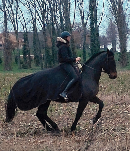 Photo de profil de estelle78640