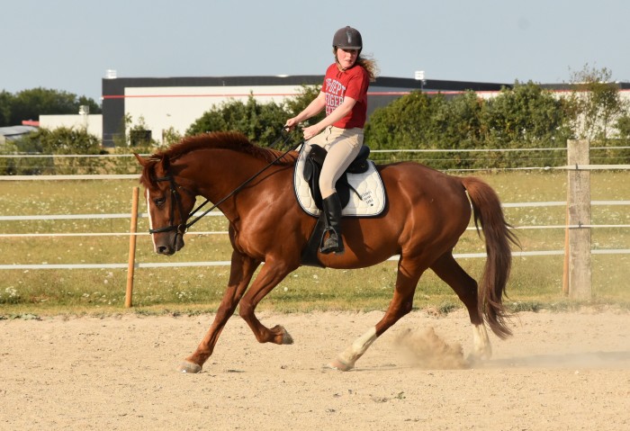 Photo de profil de esthelou