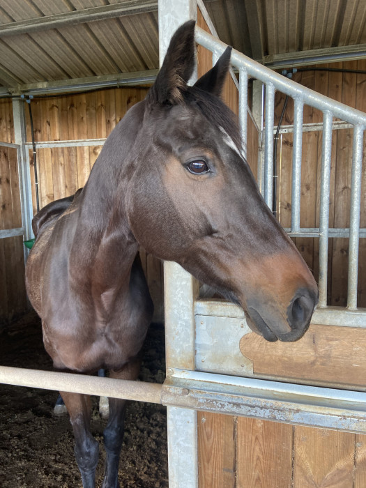 Photo de profil de estrellane974