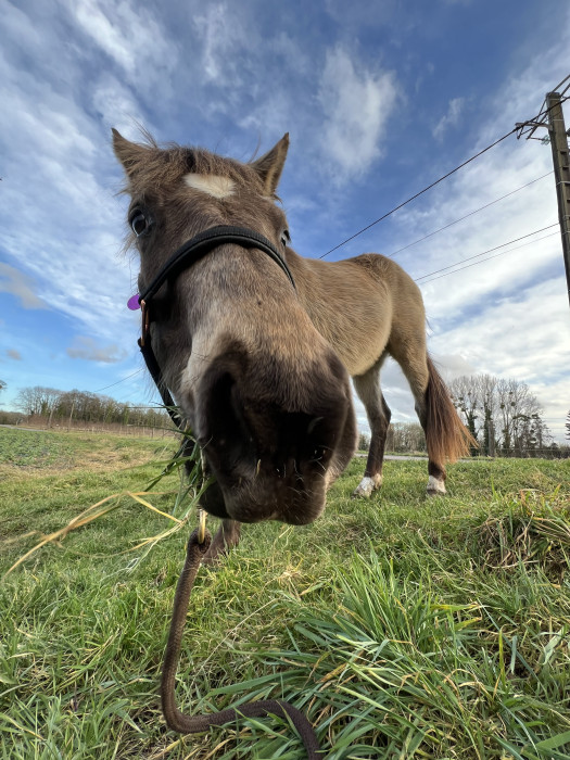 Photo de profil de ethagaw