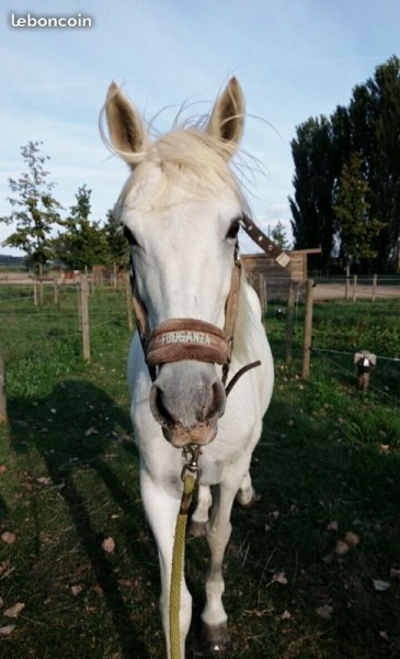 Photo de profil de etudiantepodo