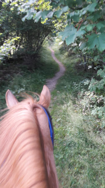 Photo de profil de eugene25