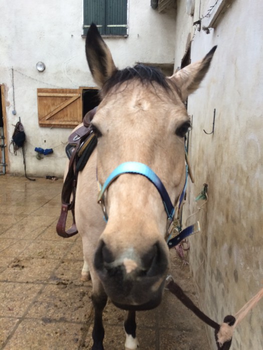 Photo de profil de eugenie45