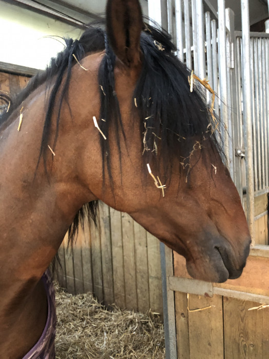 Photo de profil de euphene